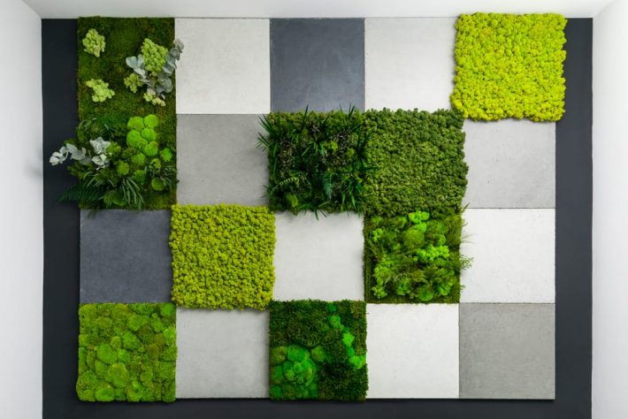 Zielone ściany z mchu – co to takiego?