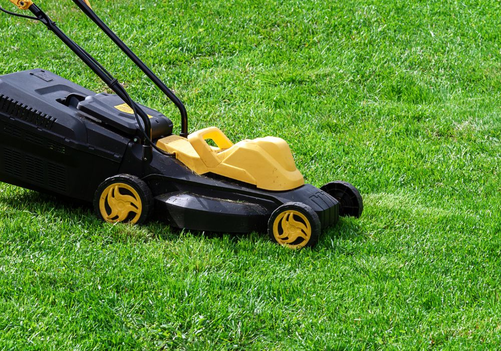 Kosiarka spalinowa czy elektryczna – którą wybrać?